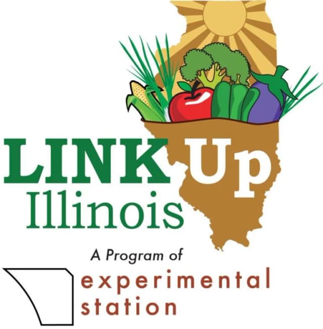 Link Up Illinois Logo